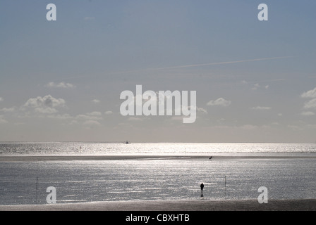 Das UNESCO-Welterbe wattenmeer bei Ebbe in Büsum, einem Badeort in Dithmarschen, Schleswig-Holstein Stockfoto