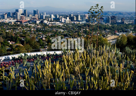 Kakteengarten im Getty Center in Los Angeles Stockfoto