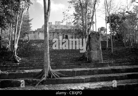 Struktur VIII auf die Maya-Ruinen von Calakmul, Campeche, Mexiko. Stockfoto