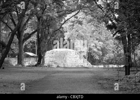 Maya-Straße oder sacbeob führt zu den Ruinen von Copán, Honduras. Copan ist ein UNESCO-Weltkulturerbe... Stockfoto