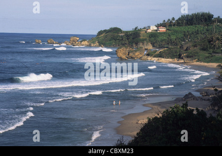 Bathsheba Beach, Ost Küste von Barbados Stockfoto