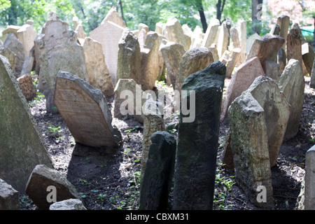 Alter jüdischer Friedhof, Prag Stockfoto