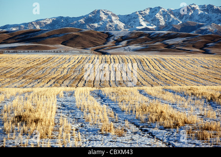 Erster Schnee auf den Feldern und Bergen Stockfoto