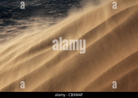 Sandsturm in der Wüste Nationalpark Altyn-Emel, Kasachstan Stockfoto