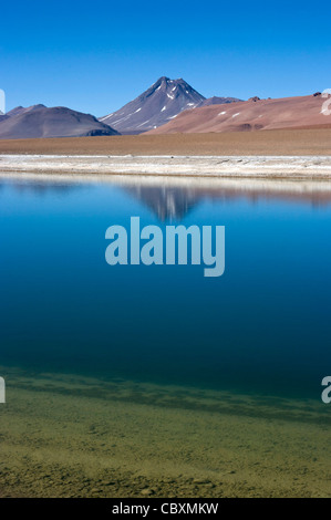 Chile. Atacama-Wüste. Quepiaco See und der Vulkan Pili. Stockfoto