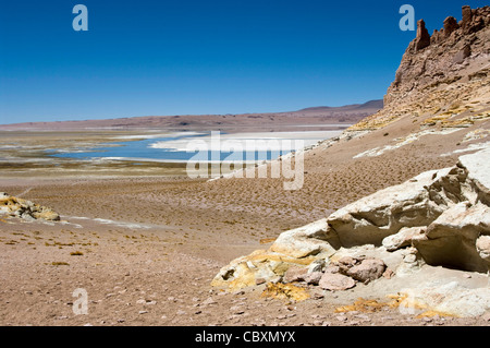 Chile. Atacama-Wüste. Flamingos Nationalreservat. Die Tara salar. Stockfoto