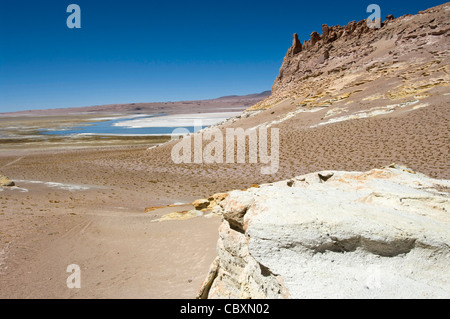 Chile. Atacama-Wüste. Flamingos Nationalreservat. Die Tara salar. Stockfoto