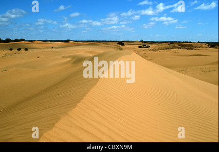 Perry sandhills in der Nähe von Wentworth im Outback von New South Wales, Australien Stockfoto