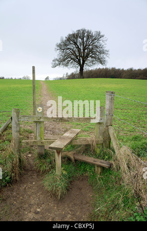 Eine hölzerne Landschaft Stil Teil einer Chilterns Winter Landschaftsansicht in Seer Green Dollar UK Stockfoto