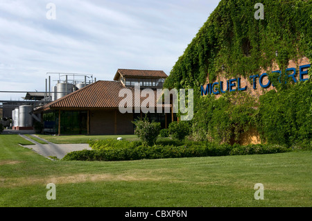 Chile. Torres Weingüter in Curicó. Maule Bezirk. Stockfoto