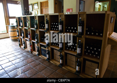 Chile. Torres Weingüter in Curicó. Maule Bezirk. Stockfoto