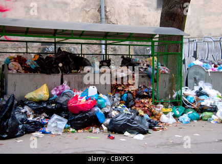 Müll Müllcontainer Kartons und Säcke voller Müll Stockfoto
