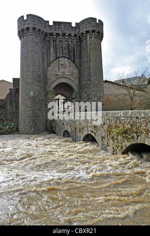 Steigenden Fluten in Paarthenay Deux-Sèvres Frankreich Stockfoto