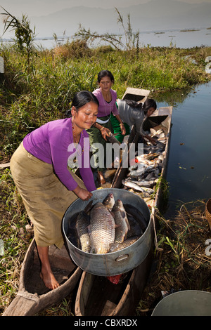 Indien, Manipur, Imphal, Loktak See, Sendra Insel Angeln Dorffrauen Übertragung ans Ufer zu fangen Stockfoto