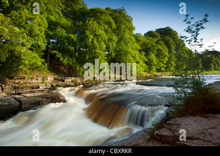 Großbritannien, England, Yorkshire, Wensleydale, Aysgarth Lower Falls am Fluß Ure Stockfoto