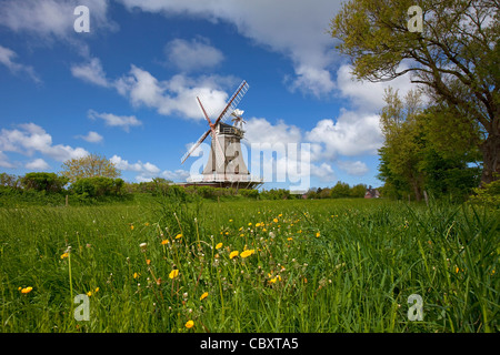 Windmühle in Oldsum auf der Insel Föhr, Friesland, Norddeutschland Stockfoto