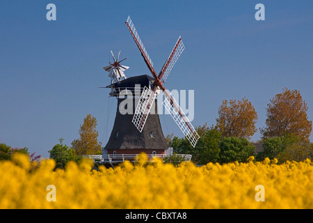 Windmühle in Oldsum auf der Insel Föhr, Friesland, Norddeutschland Stockfoto