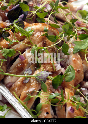 Merlot-Huhn Stockfoto