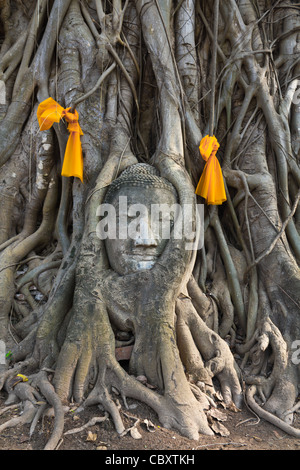 Head of The Sand-Stein-Buddha-Statue im Tempel Wat Mahathat, Ayutthaya Thailand Stockfoto