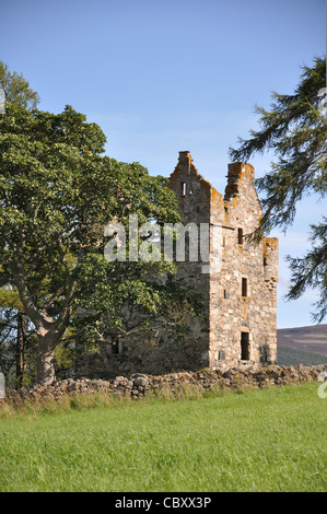 HM Falten der Königin Highland Cattle, Royal Deeside Ballater, Balmoral. Stockfoto