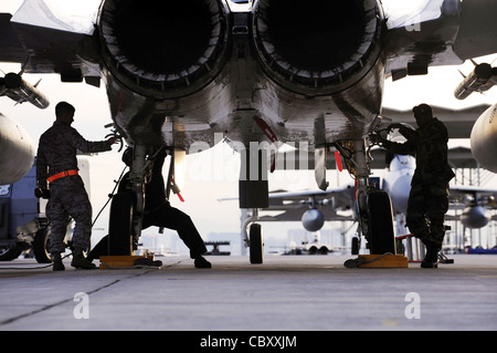 Besatzungsleiter führen Wartung auf einem F-15 Adler 2. Februar 2010, während der Roten Flagge auf Nellis Air Force Base, Nev. Sie sind an die 18. Aircraft Maintenance Squadron von Eielson AFB, Alaska zugeordnet. Red Flag ist eine realistische Kampftraining Übung. Stockfoto