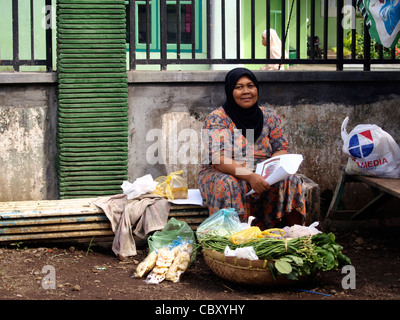 einheimische Frau verkaufen frisches Obst und Snacks am Straßenrand in kleinen ländlichen Dorf Java Indonesien Stockfoto