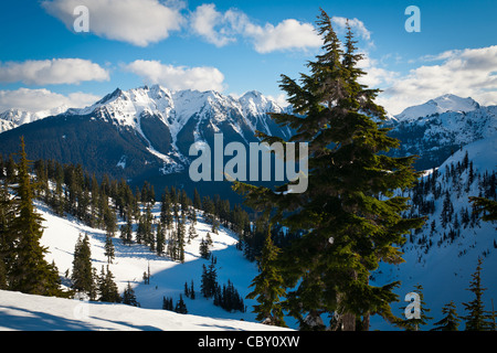 Die Gipfel der Grenze zwischen den USA und Kanada im North Cascades National Park in der Mitte ein sehr kalter Winter. Stockfoto