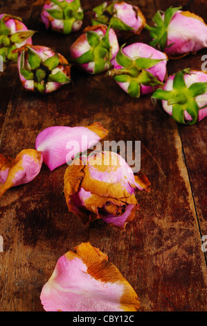 verwelkte Rose auf hölzernen Hintergrund Stockfoto