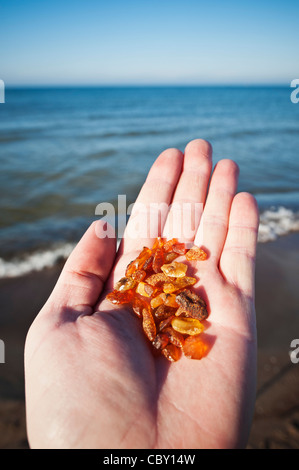 Hand mit Bernstein gefunden am Strand Ostsee im Hintergrund, Kurische Nehrung, Litauen Stockfoto