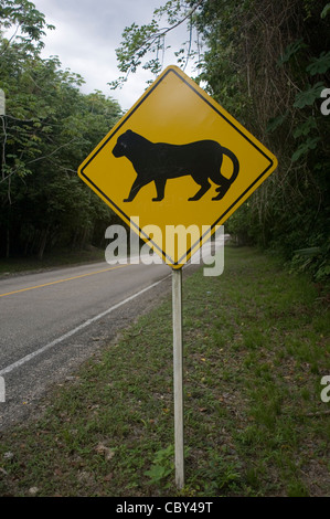Ein "Hütet euch vor den Pumas" Schild an der Straße durch den Dschungel im Parque Nacional Tikal in Guatemala. Stockfoto