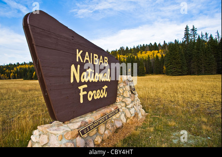 Zeichen der Kaibab National Forest. Bei 1,6 Millionen Hektar grenzt der Kaibab National Forest im Norden und Süden Felgen Grand Canyon. Stockfoto