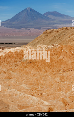 Die Atacama Wüste im Valle de la Luna in Chile mit dem Vulkan Lincancabur über Stockfoto