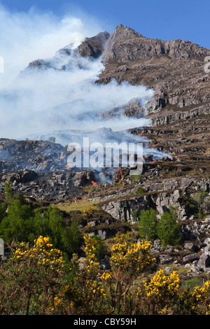 Torridon Hügel Feuer Stockfoto