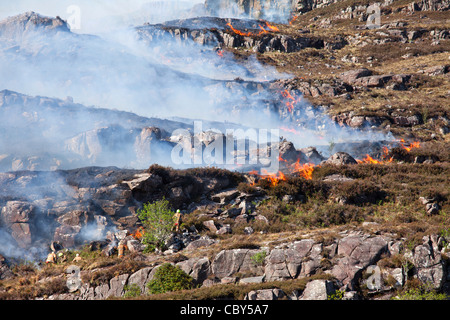 Torridon Hügel Feuer Stockfoto