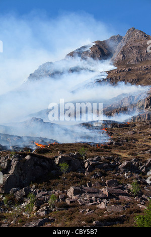 Torridon Hügel Feuer Stockfoto