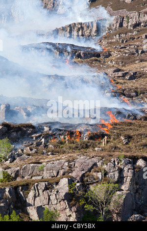 Feuerwehrmänner bekämpfen ein Feuer in Torridon, Schottland, Großbritannien Stockfoto