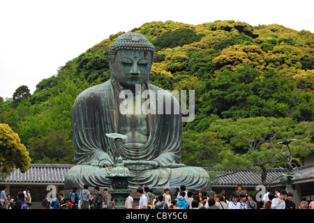 Daibutsu (der grosse Buddha) Kotoku-in Kamakura, Japan Stockfoto