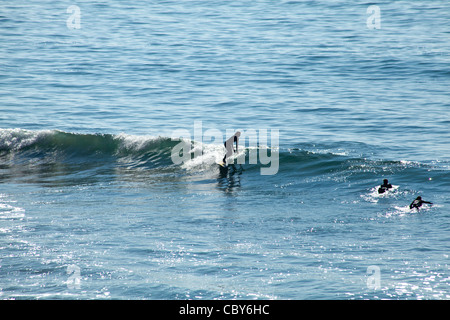 Surfer reitet eine Welle während der jährlichen ONeill Surf-Wettbewerb. Stockfoto