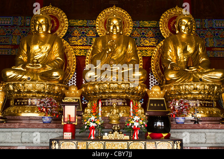 Drei Buddhas im chinesischen Tempel von Thailand Stockfoto