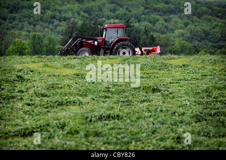 ein Feld Gras mähen Traktor Stockfoto, Bild: 15699595 - Alamy