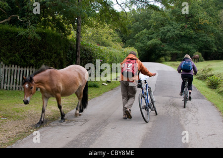 Ein paar Radfahrer mit ihren gemieteten Fahrrädern zu Fuß passieren ein New Forest Pony im New Forest, Hampshire, Großbritannien Stockfoto