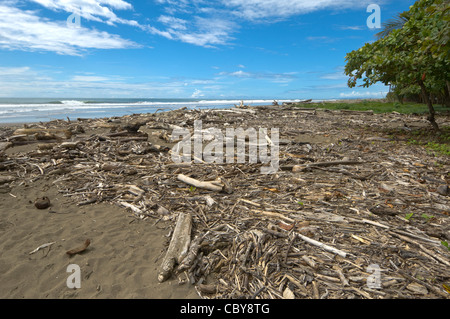 Playa Dominical, Costa Rica, Provinz Puntarenas Stockfoto