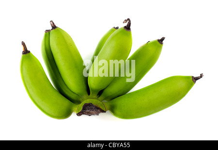 Ein Bündel von unreifen Baby Bananen. Stockfoto