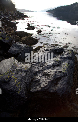 Bereich der Loch Long, Schottland. Felsen auf dem östlichen Ufer von Loch Long mit dem Finnart Öl-Terminal im fernen Hintergrund. Stockfoto