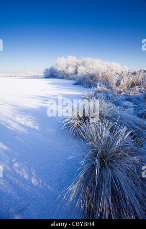Schatten über einen gefrorenen Schnee bedeckten Teich auf einem sonnigen Winternachmittag an den Gewässern Rand Country Park in North Lincolnshire Stockfoto