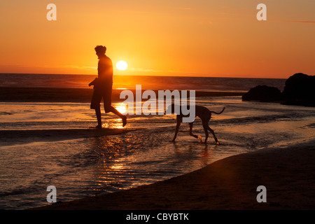 Mann zu Fuß Hund bei Sonnenuntergang am Strand von Perranporth Cornwall Stockfoto