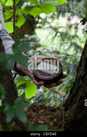 Person, die eine Geocache-Dose in einem Waldgebiet Stockfoto