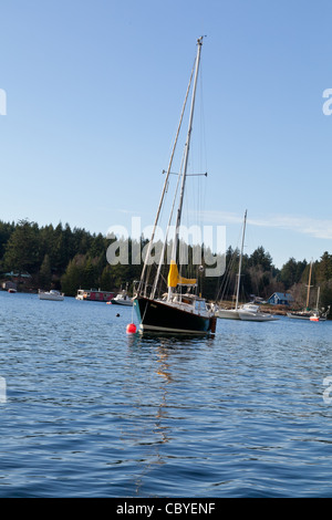 Ein Segelboot, verankert in einem Hafen an einem sonnigen Tag auf Gabriola Island, Britisch-Kolumbien. Stockfoto