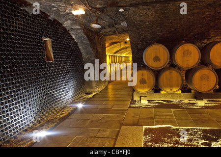 WEINKELLER IM CHÂTEAU DE POMMARD, GROßE BURGUNDER WEINSTRAßE, POMMARD, COTE D ' OR (21), FRANKREICH Stockfoto