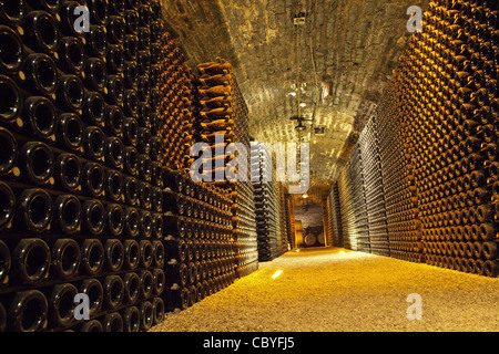 WEINKELLER IM CHÂTEAU DE POMMARD, GROßE BURGUNDER WEINSTRAßE, POMMARD, COTE D ' OR (21), FRANKREICH Stockfoto